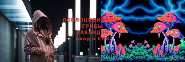 соль ск Верея